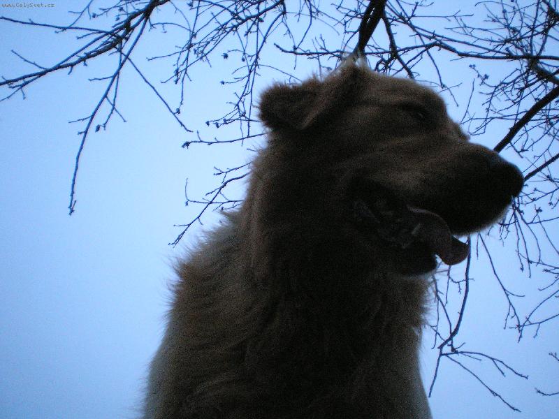 Foto: Max-:))
